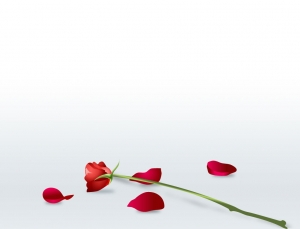d-gambar-kelopak-bunga-mawar-merah.jpg - BundayShanty